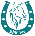 BAR Logo Teal